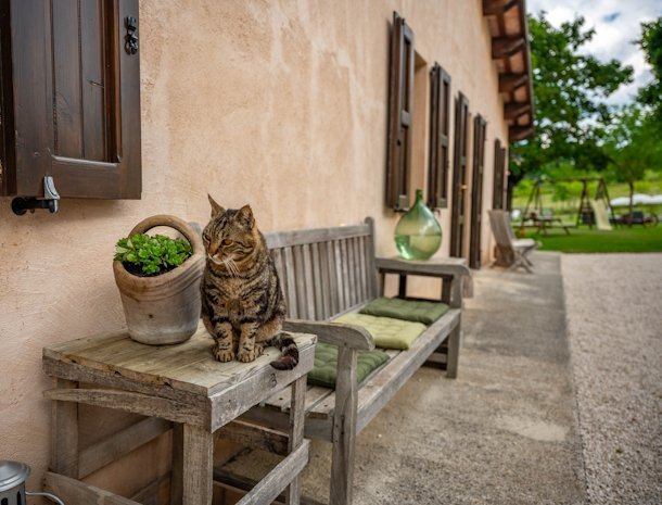 agriturismo-il-castellaro-marche-poes.jpg