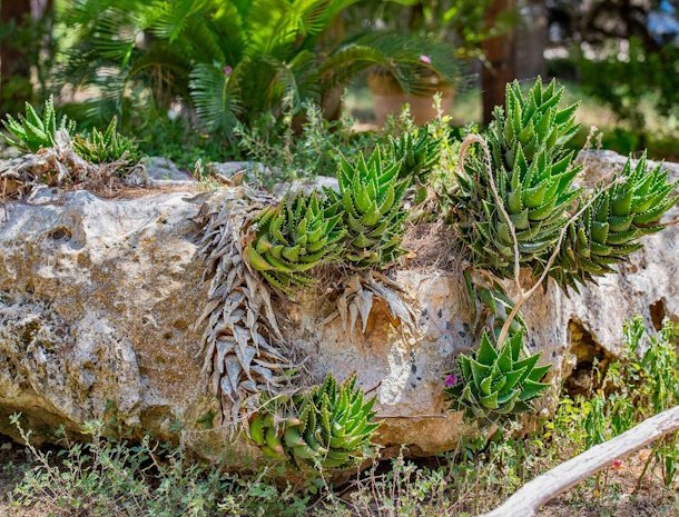 agriturismo-torre-casciani-torre-san-giovanni-salento-natuur.jpg