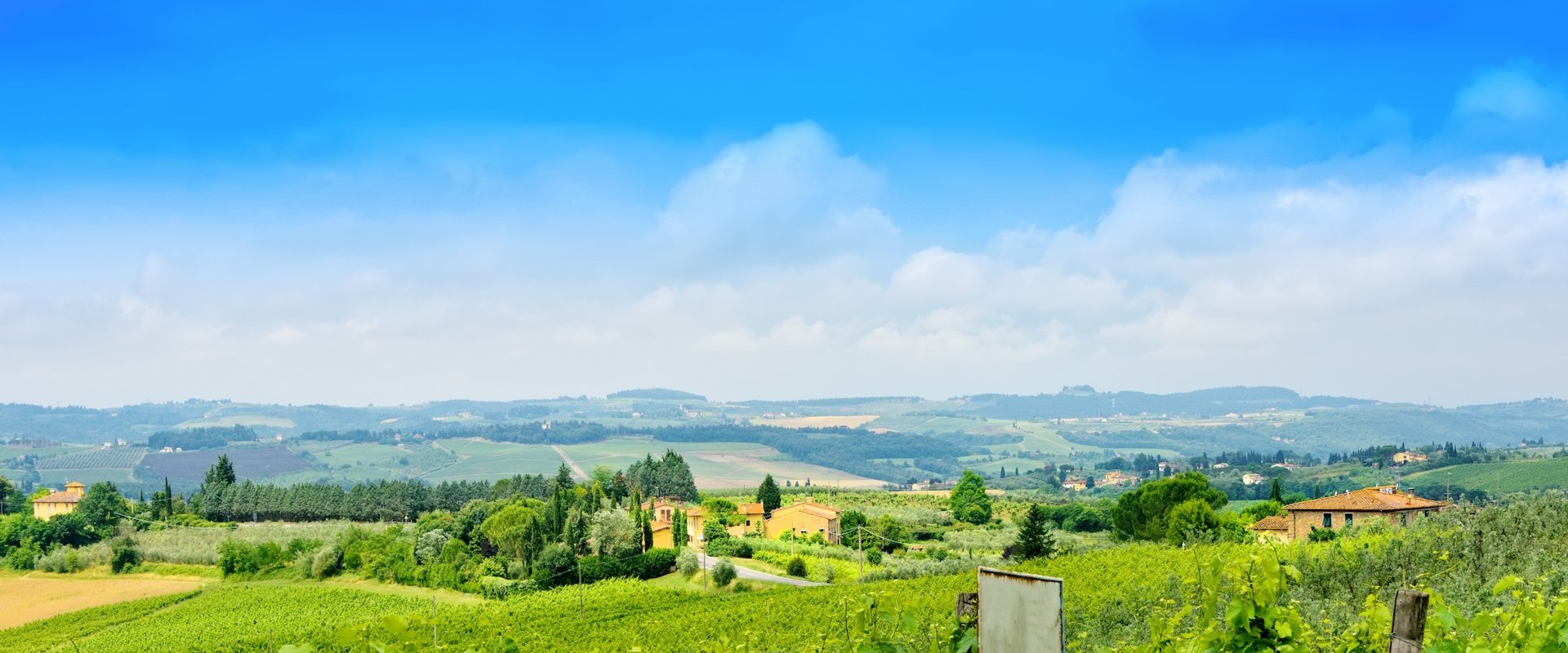 toscane-chianti-gebied-wijngaarden.jpg